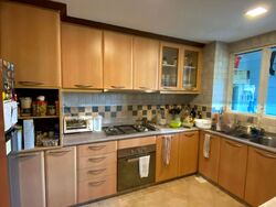 Emerald Garden (D1), Condominium #503102401